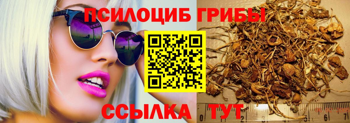 Галлюциногенные грибы MAGIC MUSHROOMS  сколько стоит  Галлюциногенные грибы ЛСД  Зима  Вход с VPN 