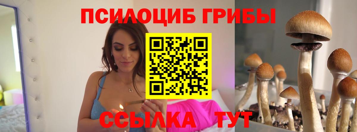 Псилоцибиновые грибы ЛСД Зима